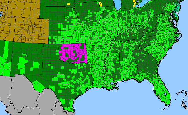 The range of Eclipta prostrata